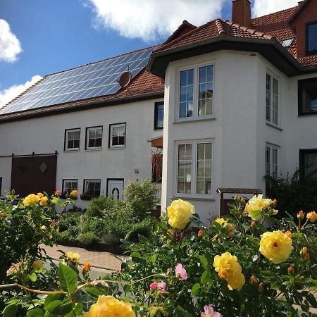 Gallowayhof Am Edersee Vohl Екстер'єр фото